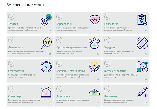ZEBRA.VET – Ветеринарная клиника