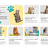 ZEBRA.VET – Ветеринарная клиника